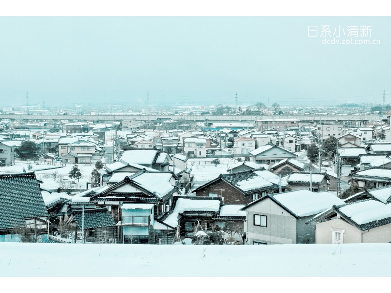 秋季传统鲫鲤野钓技巧